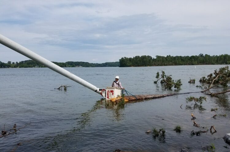 Tree Removal From Water