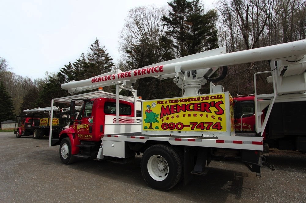 mencers tree service knoxville