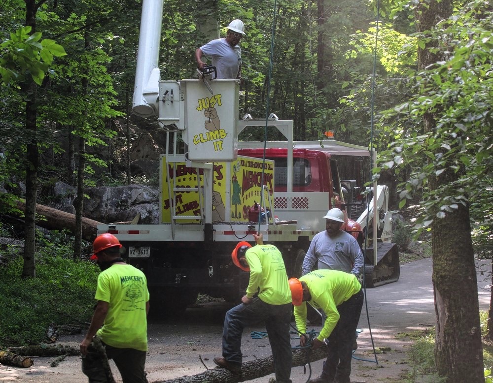 Team At Mencers Tree Service
