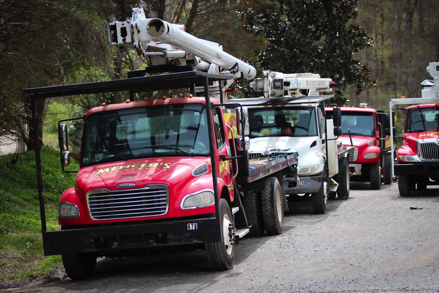 Trucks Removing Trees