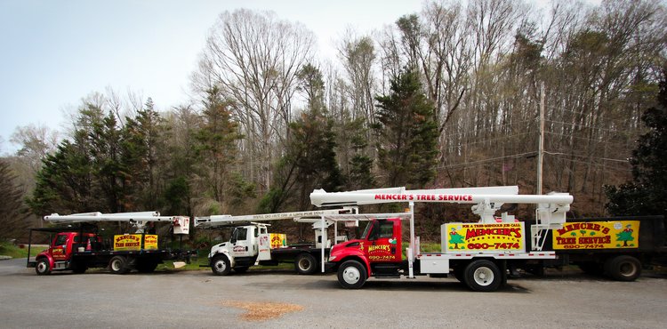 Mencer's Tree Service Trucks